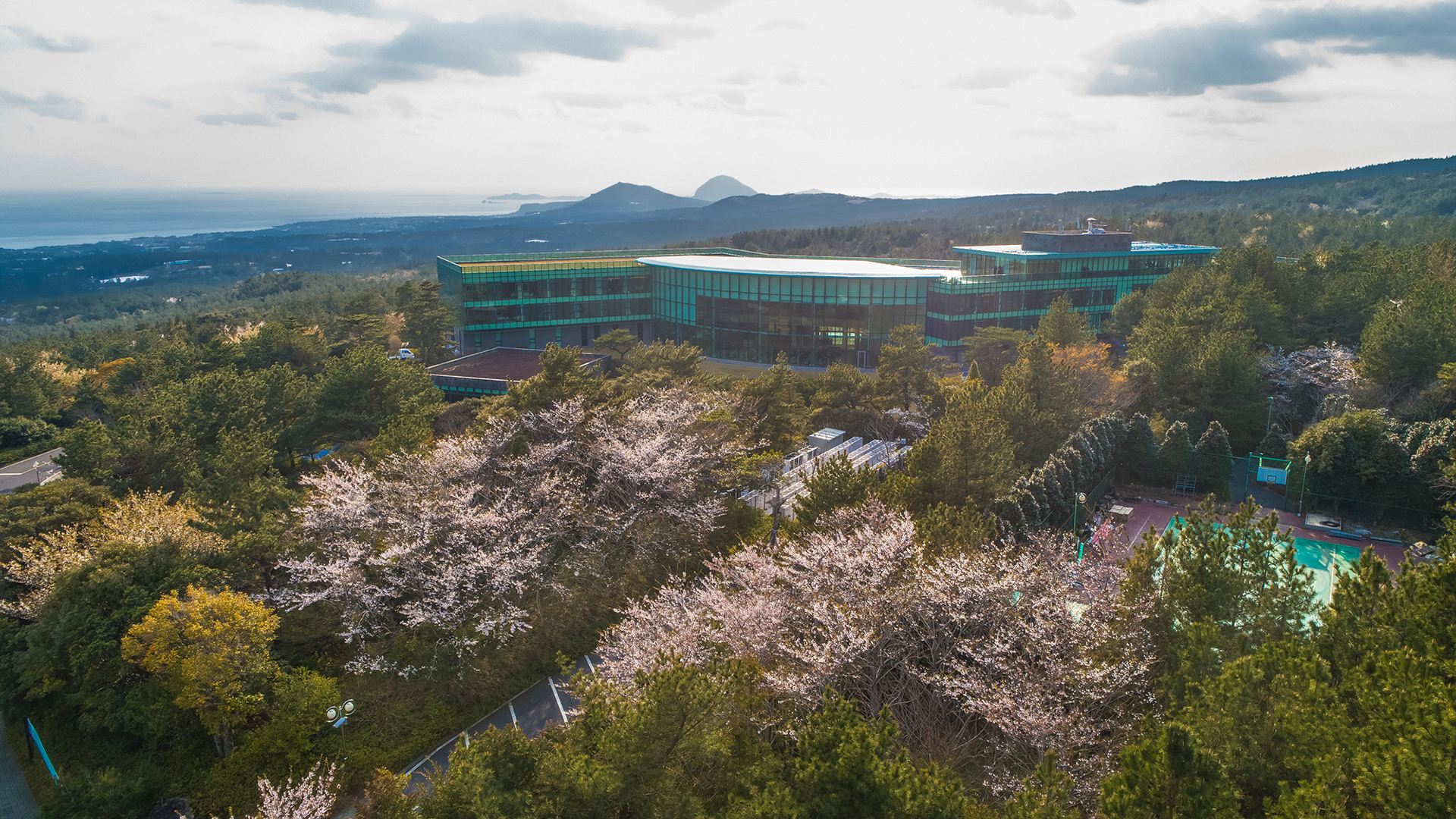 漢拏山中腹の森にあるWE Hotel Jejuの実際のホテル外観